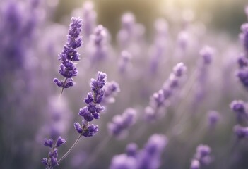 Obraz premium floral line branch art flower illustration wild botany nature plant summer botanical lineart lavender