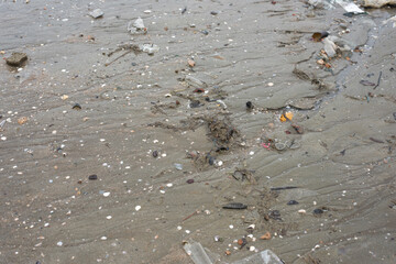 Garbage in the sand that is blown from the sea makes the beach look dirty