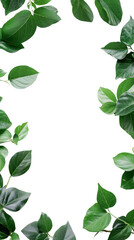 Fototapeta premium Green Business Sustainability: Eco-Friendly Innovation Concept with Lush Green Plants on White Background