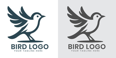 Bird logo design template vector file