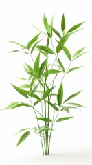 Obraz premium Green Plants in 3D Illustration for Eco-Friendly Presentations on White Background