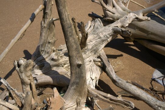 Fondos y texturas en la peninsula de Paraguana ,Estado Falcon.