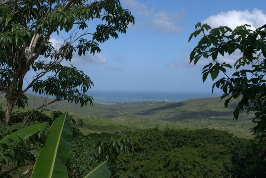 Paisajes con mucho verde y paisajes secos y de mucha resequedad podemos encontrar en la peninsula de Paraguana.