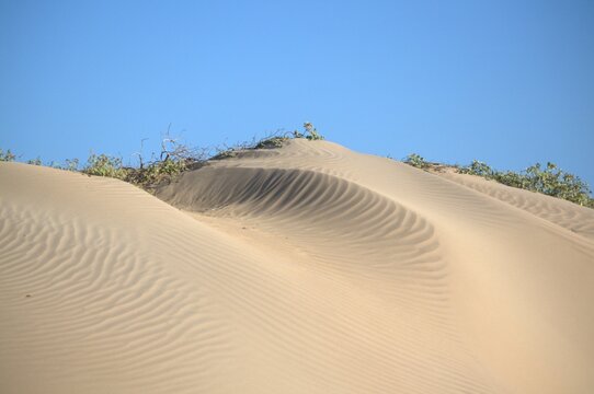 Los medanos de Coro son dunas de arena que movidas por los fuertes vientos de la peninsula toman formas muy caracteristicas.