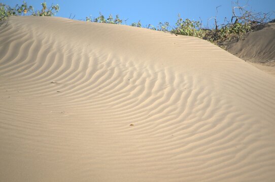 Los medanos de Coro son dunas de arena que movidas por los fuertes vientos de la peninsula toman formas muy caracteristicas.
