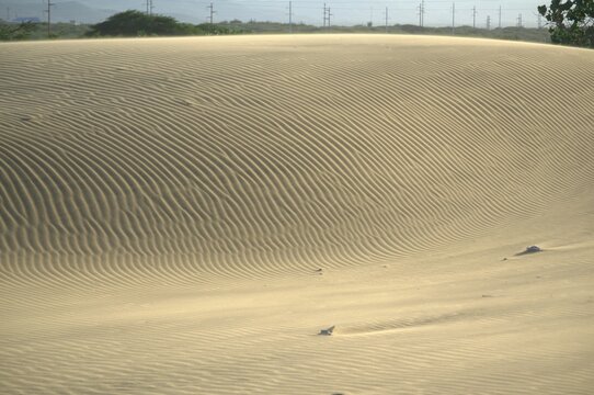 Los medanos de Coro son dunas de arena que movidas por los fuertes vientos de la peninsula toman formas muy caracteristicas.