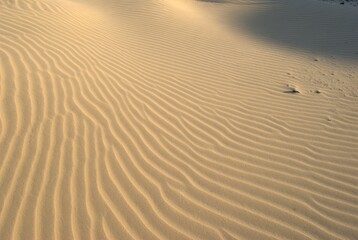 Los medanos de Coro son dunas de arena que movidas por los fuertes vientos de la peninsula toman formas muy caracteristicas.