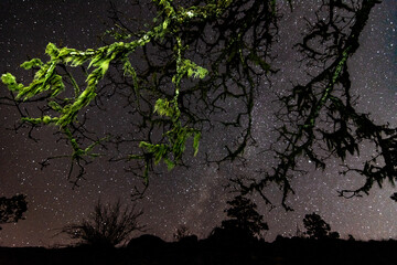 A star filled sky hangs over a beautiful scene in the Pacific Northwest