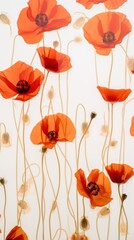 PNG Real pressed poppy flowers backgrounds petal plant.