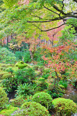 京都　大原　三千院　聚碧園（しゅうへきえん）秋の美しい紅葉（日本京都府京都市）
Beautiful autumn foliage at Shuhekien（Shuheki-en Garden),Sanzenin Temple（Sanzen-in Temple
）, Ohara, Kyoto (Kyoto City, Kyoto Prefecture, Japan)
