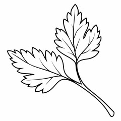 A  Leaf Icon Nature Organic Vector Line Art Illustration