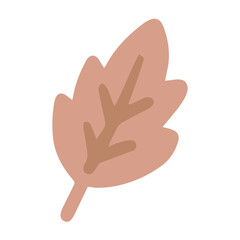 Boho Floral Element Cute