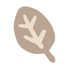 Obraz premium Boho Floral Element Cute