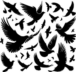 Obraz premium Adobe Illustrator Artwork