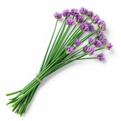 Naklejka premium A bunch of fresh chives with purple flowers isolated on a white background.