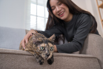  woman kneeling beside a couch, playfully interacting with her tortoiseshell cat sitting on the couch. The living room setting is warm