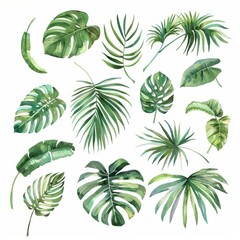 Naklejka premium Collection of various green tropical leaves isolated on white background. Perfect for design projects. Watercolor style.