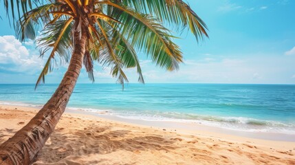 Obraz premium Beautiful tropical beach with a close-up of a coconut palm tree