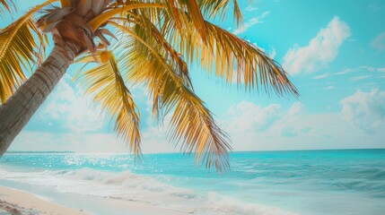 Fototapeta premium Stunning tropical beach scene featuring a close-up of a swaying coconut palm tree against a backdrop of blue skies and serene ocean waves