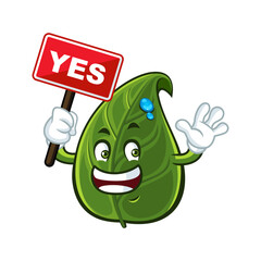 Green leaf mascot holding yes sign.