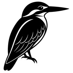 A Kingfisher Silhouette Vector illustration isolated on white