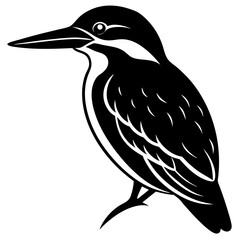 A Kingfisher Silhouette Vector illustration isolated on white