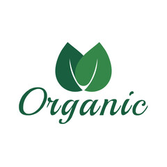 Organic, natural product, eco, vegetarian, leaf icon