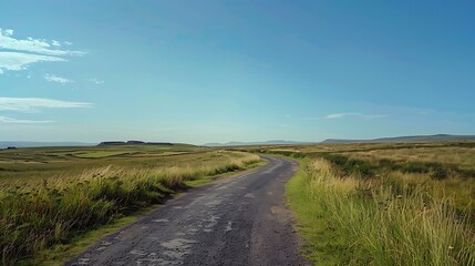 5. A scenic road in the countryside, bordered by tall grass and open fields, under a vast, clear blue sky