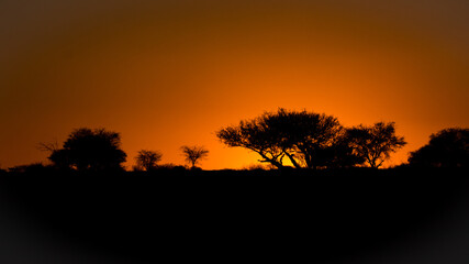 Sundowner in the Kalahari Desert
