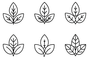 Leaf Sprout line art timeless charm detailed leaf imagery