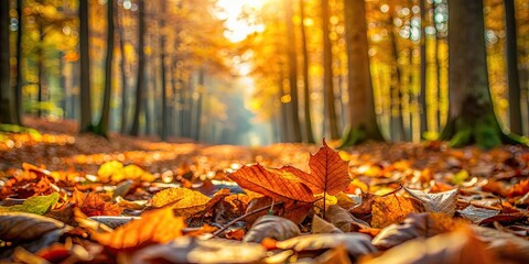 Forest floor with autumn leaves in selective focus, autumn, fall, leaves, foliage, ground, nature, outdoors, forest, seasonal