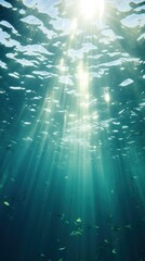 Wallpaper ocean underwater backgrounds sunlight.