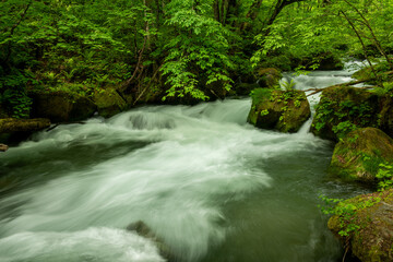 大きな岩の間を飛沫をあげて流れる小川