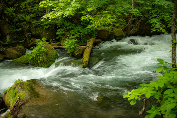 白い飛沫をあげる複雑な流れ