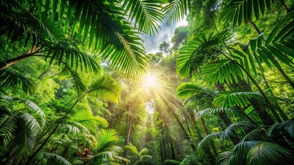 Lush tropical rainforest canopy blocking out the sun , exotic, palm trees, dense, green, plants, tropical, lush, rainforest