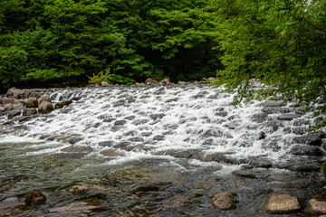敷き詰めた岩を流れる水