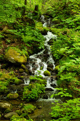 大きな岩と石ころを流れる山水