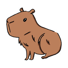 hand drawn cute capybara character illustration