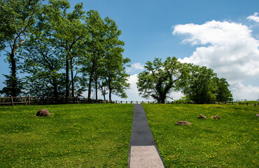 タンポポが咲く、春の長閑な景色