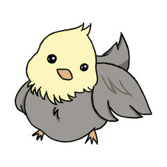 cute chicken cartoon character illustration