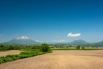 長閑な北海道の田園風景