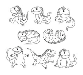 Set of iguana doodle collection, iguana outline coloring page or book animals for kindergarten, Vector line art set of animals wildlife, Hand drawn, Minimal iguana line art doodle in different pose.
