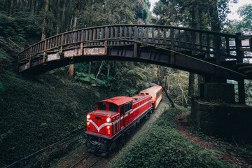 Taiwan ChiaYi Alishan Forest Railway