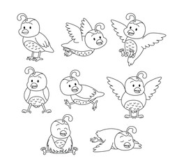 Set of quail doodle collection, quail outline coloring page or book animals for kindergarten, Vector line art set of bird animals wildlife, Hand drawn, minimal quail line art doodle in different pose.