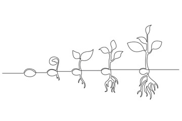 Continuous one line drawing Plant growth process Vector illustration