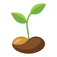 Illustration of simple sprouting seed isolated