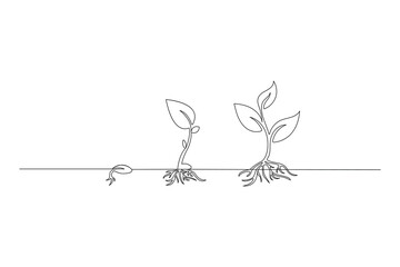 Continuous one line drawing Plant growth process Vector illustration