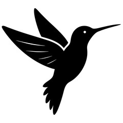 Obraz premium silhouette of a bird