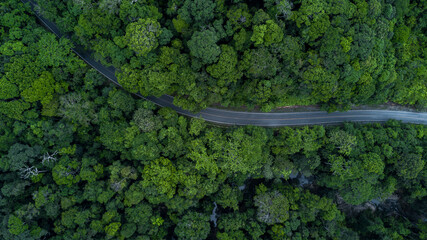 Aerial view asphalt road in green forest tree, Asphalt road through green forest tree, Asphalt road...