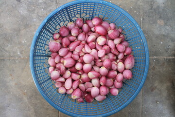 A bunch of peeled red onions in a blue plastic container on the floor

